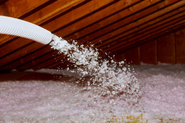 Best Fiberglass Insulation in Ligonier, IN