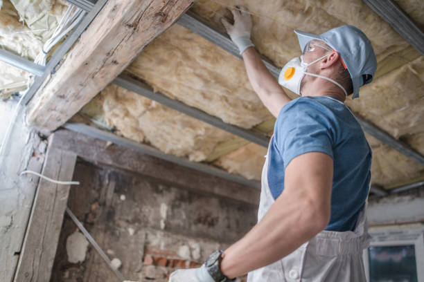 Best Geographic-Specific Insulation Services in Ligonier, IN