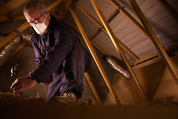 Best Insulation for Specific Applications in Ligonier, IN